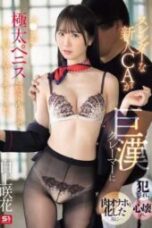 SONE 770 4K A slender new flight attendant is assaulted by a large male complainant her heart broken and after becoming a fleshlight 170x255 1